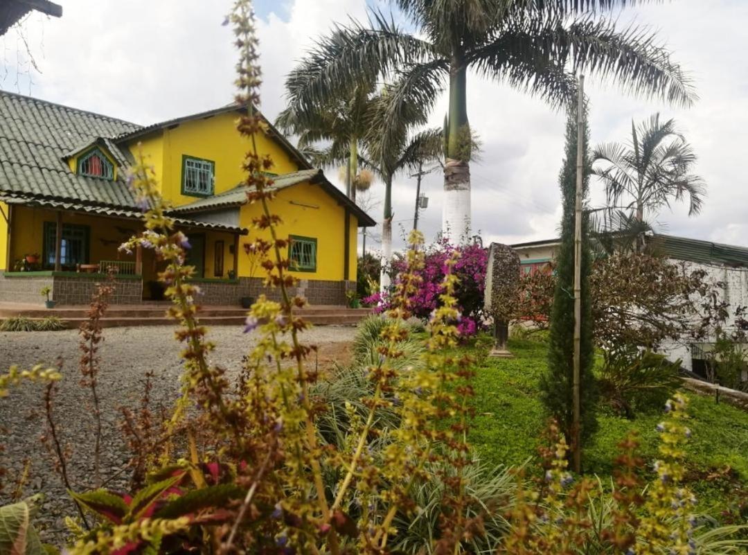 Finca Turistica Santa Clara Hostel Calarcá Buitenkant foto