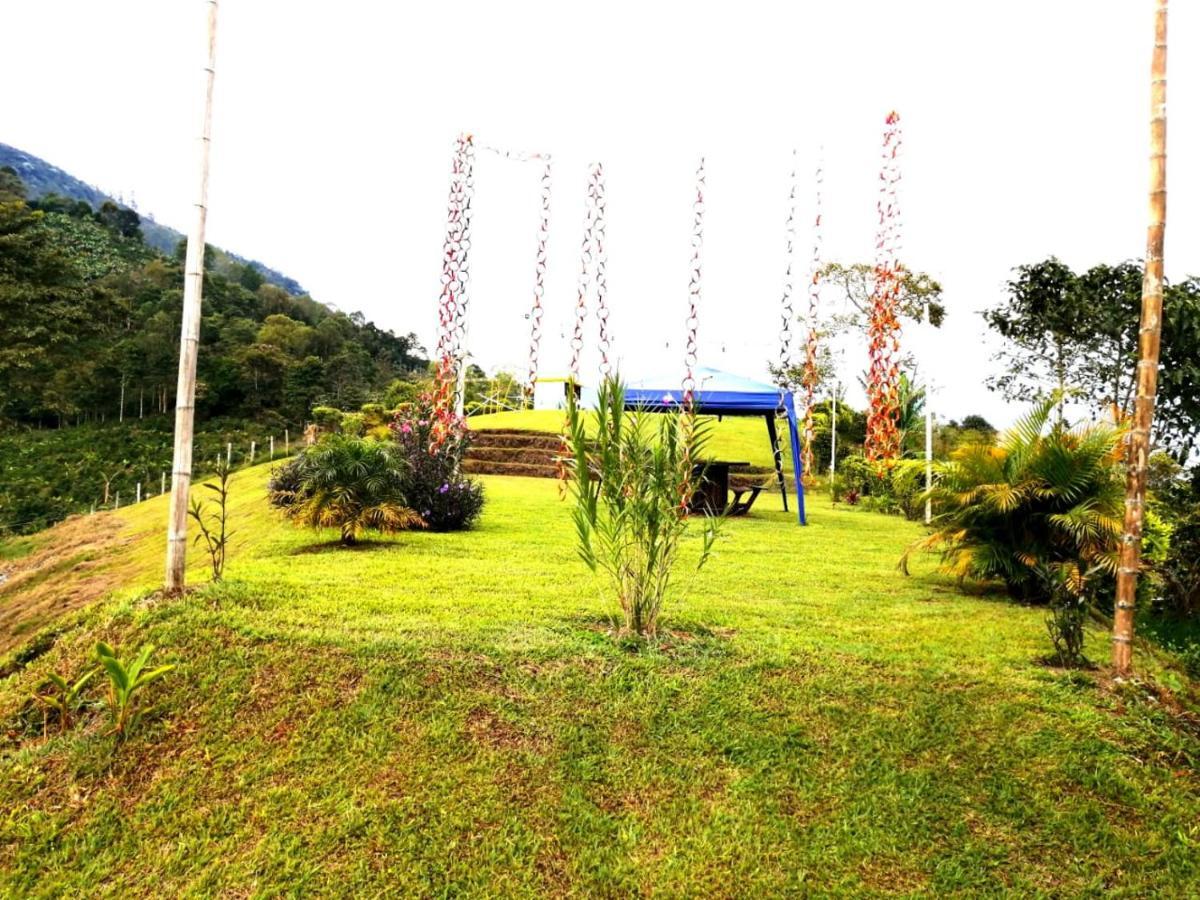Finca Turistica Santa Clara Hostel Calarcá Buitenkant foto